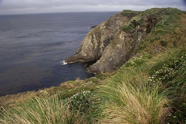 Cape Horn Nature Reserve, Cape Horn Island, Chile, South America