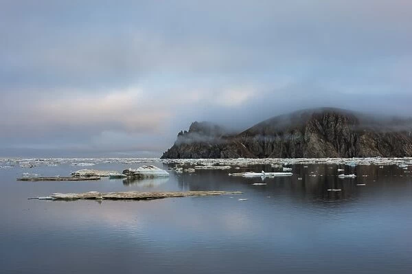 Cape Waring, Wrangel Island, UNESCO World Heritage Site, Chuckchi Sea, Chukotka, Russian Far East, Russia, Eurasia