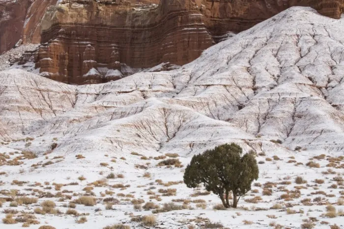 Framed Print : Capitol Reef, Utah, United States of America, North America Framed Print : Capitol Reef, Utah, United States of America, North America