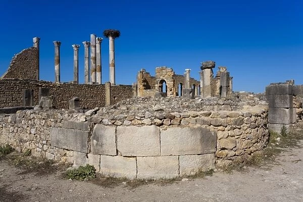 The Capitol, Roman ruins, Volubilis, UNESCO World Heritage Site, Morocco
