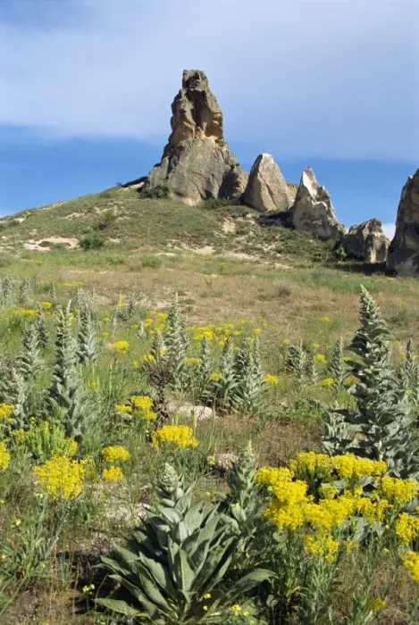 Framed Print : Cappadocia Framed Print : Cappadocia