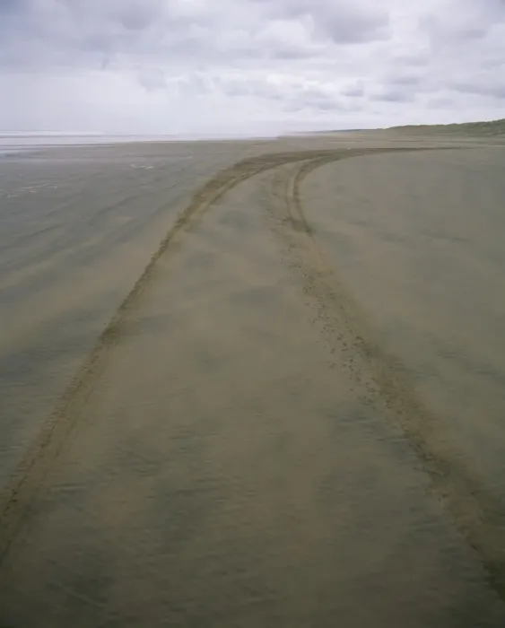 Framed Print : Car tracks along 90 Mile Beach Framed Print : Car tracks along 90 Mile Beach