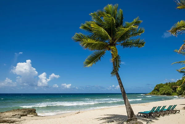 Carambola Beach Resort beach, St. Croix, US Virgin Islands