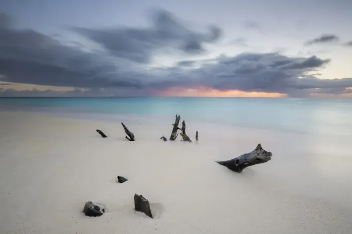 Framed Print : Caribbean sunset frames tree trunks on Ffryes Beach, Antigua, Antigua and Barbuda Framed Print : Caribbean sunset frames tree trunks on Ffryes Beach, Antigua, Antigua and Barbuda