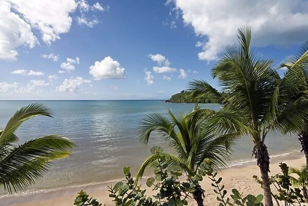 Carlisle Bay beach, Antigua, Leeward Islands, West Indies, Caribbean, Central America