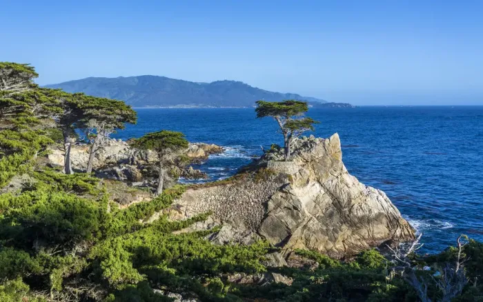 Framed Print : Carmel Bay, Lone Cypress at Pebble Beach, 17 Mile Drive, Peninsula, Monterey, California Framed Print : Carmel Bay, Lone Cypress at Pebble Beach, 17 Mile Drive, Peninsula, Monterey, California