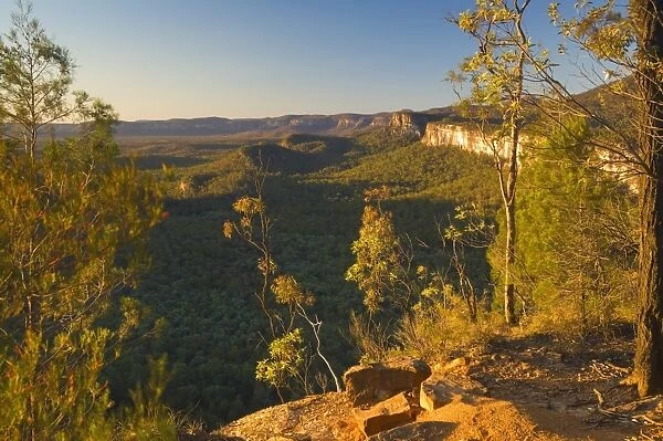Carnarvon Gorge, Carnarvon National Park, Queensland, Australia, Pacific
