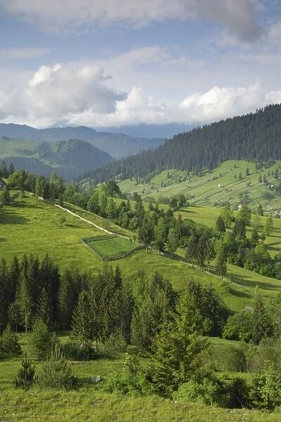 Carpathian mountains of Moldavia and Southern Bucovina, north of Campulung Moldovenesc