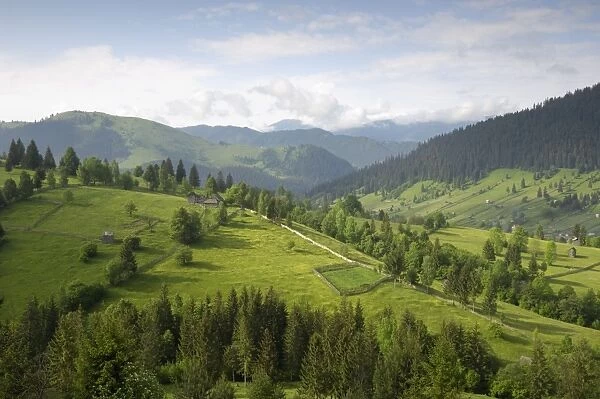 Carpathian mountains north of Campulung Moldovenesc, Moldavia, Southern Bucovina