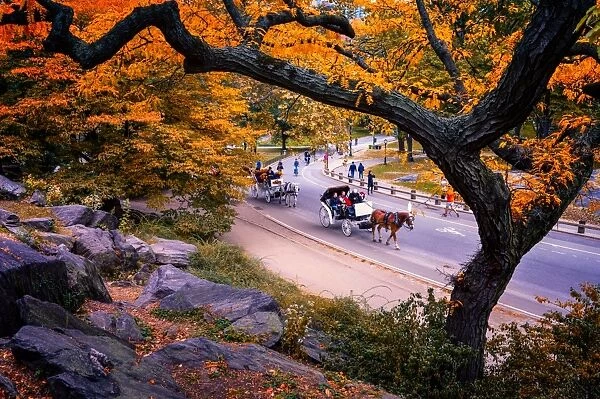 Carriage ride, Central Park, New York City, United States of America, North America