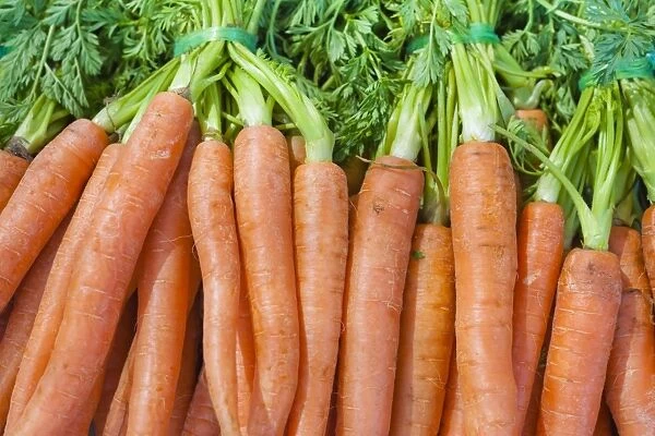 Carrots for sale at the Sunday morning market, Pollenca, Tramuntana, Mallorca, Balearic Islands, Spain, Europe
