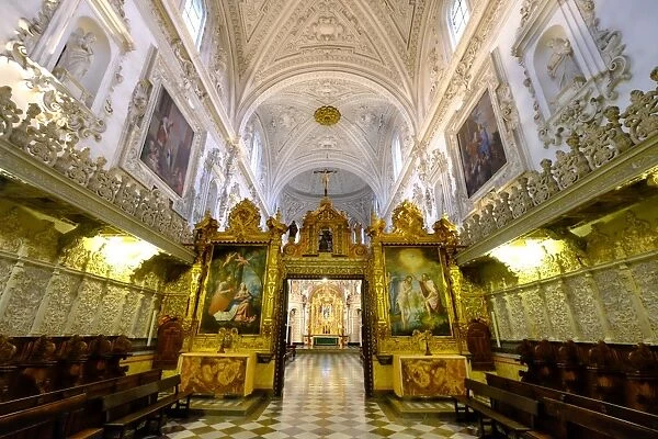 Cartuja Monastery, Granada, Andalucia, Spain, Europe