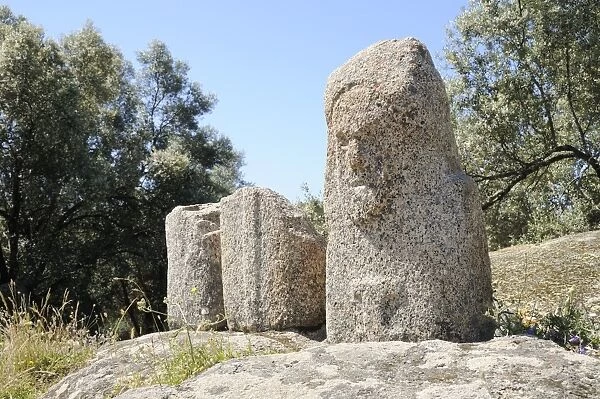 Carved Bronze Age granite statue menhirs at Filitosa, approximately 3500 years old, one intact with a grumpy face, Corsica, France, Europe
