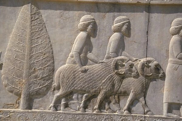 Carved reliefs of rams from Asia Minor on the Apadana