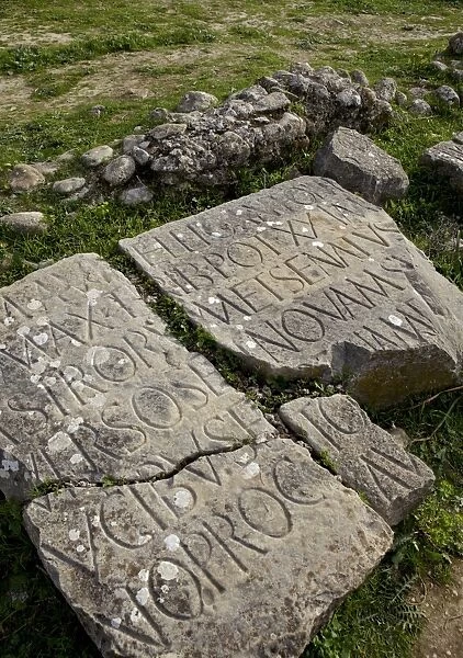 Carving on stone at the Roman archaeological site, Volubilis, UNESCO World Heritage Site, Meknes Region, Morocco, North Africa, Africa
