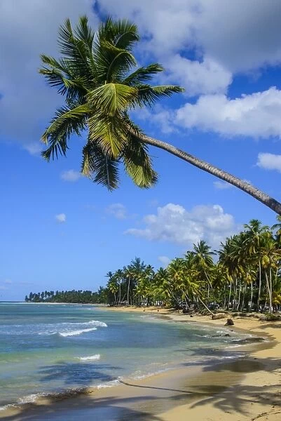 Casa Blanca Beach, Las Terrenas, Dominican Republic, West Indies, Caribbean, Central America