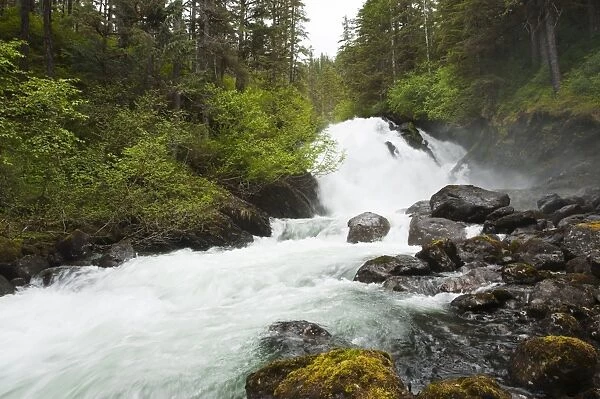 Cascade Creek, Thomas Bay region of Southeast Alaska, Alaska, United States of America