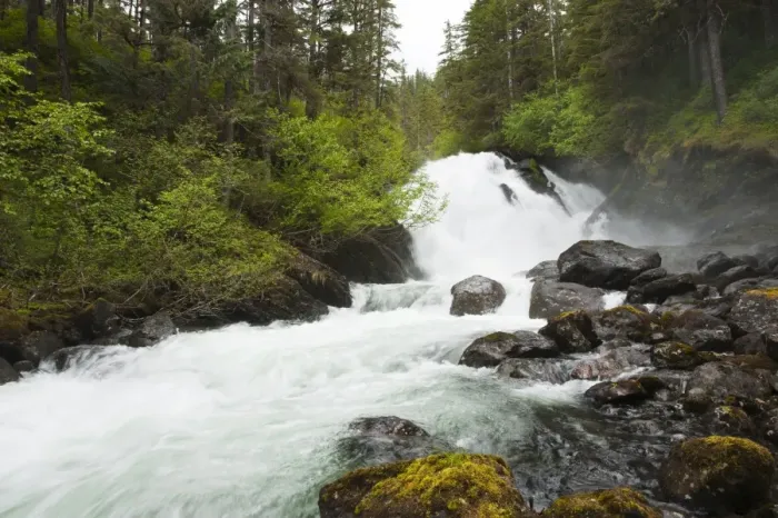 Framed Print : Cascade Creek, Thomas Bay region of Southeast Alaska, Alaska, United States of America Framed Print : Cascade Creek, Thomas Bay region of Southeast Alaska, Alaska, United States of America