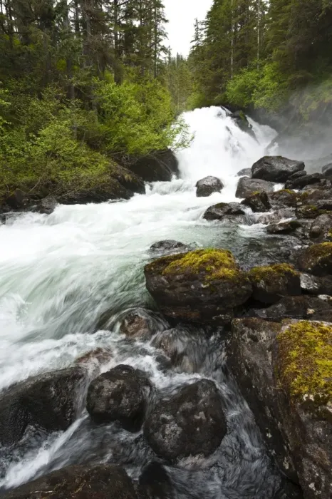 Framed Print : Cascade Creek, Thomas Bay region of Southeast Alaska, Alaska, United States of America Framed Print : Cascade Creek, Thomas Bay region of Southeast Alaska, Alaska, United States of America