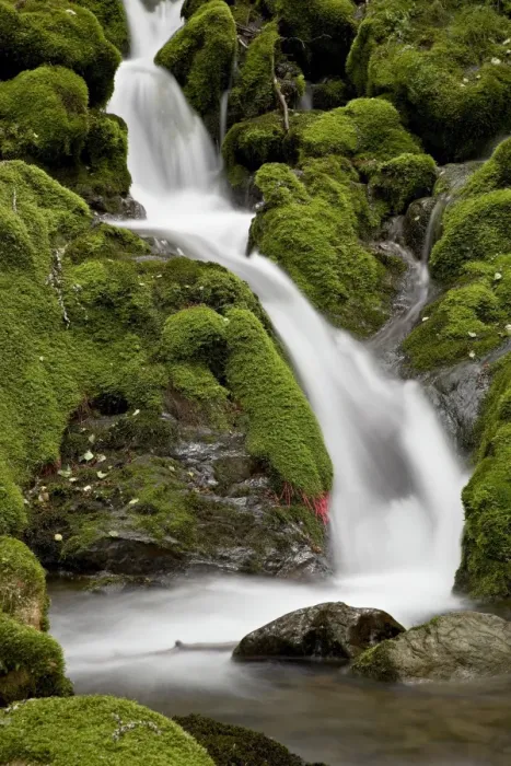 Framed Print : Cascade on Falls Creek, Chugach State Park, Alaska, United States of America Framed Print : Cascade on Falls Creek, Chugach State Park, Alaska, United States of America