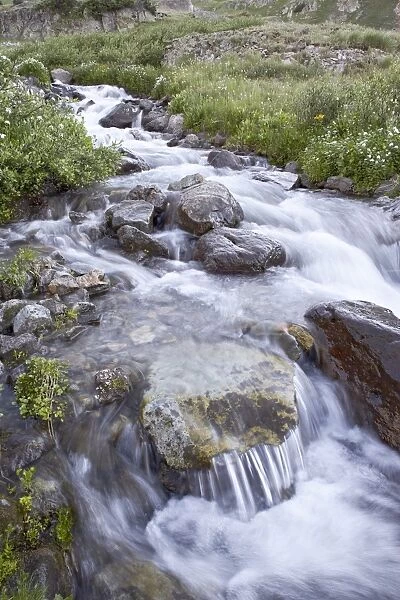 Cascades, American Basin, Uncompahgre National Forest, Colorado, United States of America