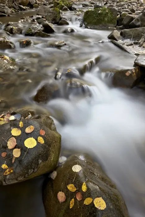 Framed Print : Cascades on the Big Bear Creek in the fall, San Miguel County, Colorado, United States of America, North America Framed Print : Cascades on the Big Bear Creek in the fall, San Miguel County, Colorado, United States of America, North America