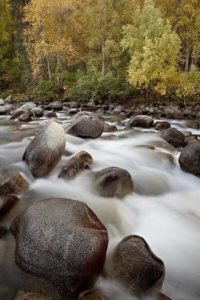 Cascades on the Little Susitna River with fall colors, Hatcher Pass, Alaska