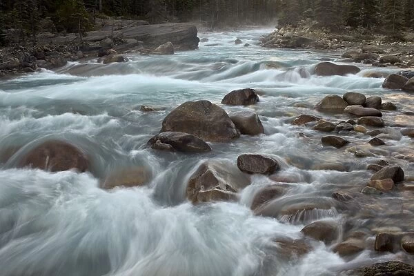 Cascades on the Mistaya River, Banff National Park, UNESCO World Heritage Site, Alberta, Canada, North America