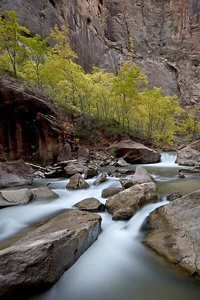 Cascades on the Virgin River in the fall, Zion National Park, Utah, United States of America