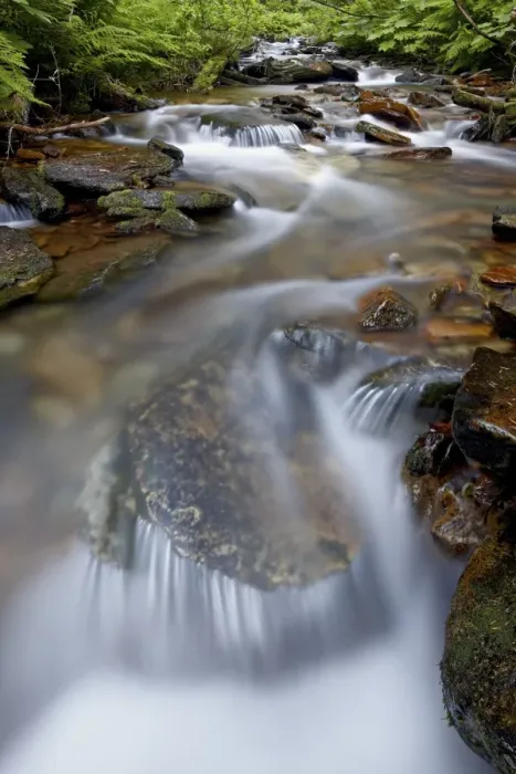 Framed Print : Cascades on Yellow Dog Creek, Coeur d Alene National Forest, Idaho Panhandle National Forests Framed Print : Cascades on Yellow Dog Creek, Coeur d Alene National Forest, Idaho Panhandle National Forests