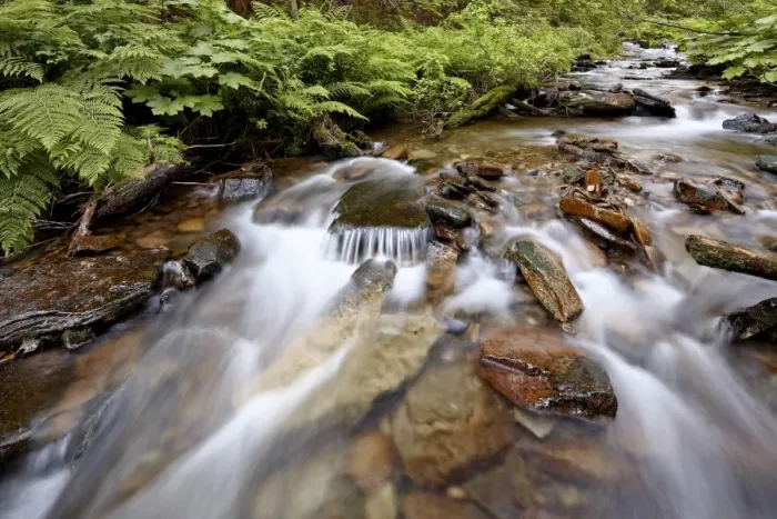 Framed Print : Cascades on Yellow Dog Creek, Coeur d Alene National Forest, Idaho Panhandle National Forests, Idaho, United States of America, North America Framed Print : Cascades on Yellow Dog Creek, Coeur d Alene National Forest, Idaho Panhandle National Forests, Idaho, United States of America, North America