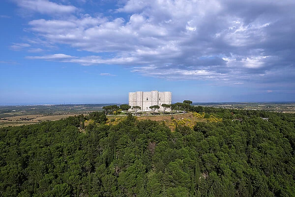 Castel del Monte on top of a hill surrounded by trees, aerial view, UNESCO World Heritage Site, Apulia, South of Italy, Italy, Europe