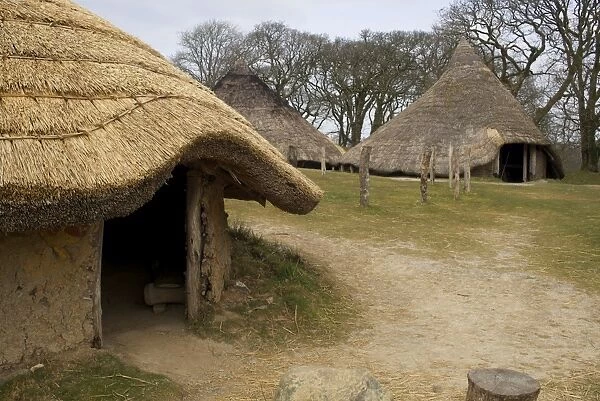 Castell Henllys, a reconstructed Iron Age hill fort circa 600BC, Pembrokeshire Coast National Park, Pembrokeshire, Wales, United Kingdom, Europe