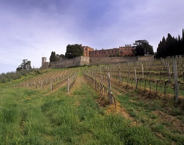 Castello di Brolio and famous vineyards