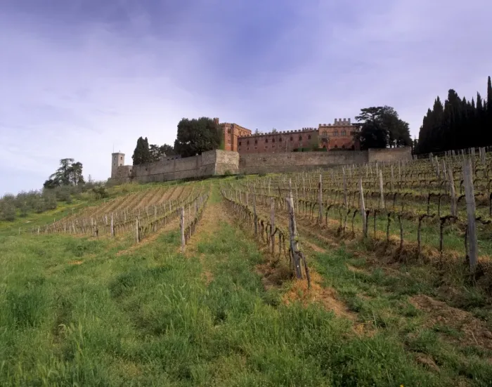 Framed Print : Castello di Brolio and famous vineyards Framed Print : Castello di Brolio and famous vineyards