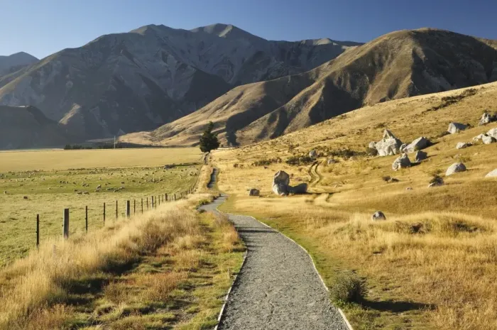Framed Print : Castle Hill, Canterbury high country, South Island, New Zealand, Pacific Framed Print : Castle Hill, Canterbury high country, South Island, New Zealand, Pacific