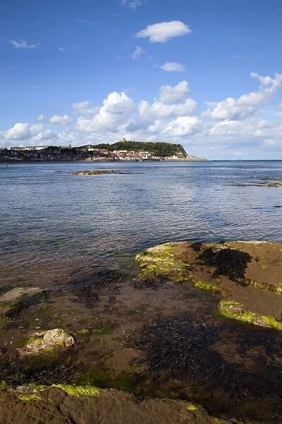 Castle Hill across South Bay, Scarborough, North Yorkshire, Yorkshire, England, United Kingdom, Europe