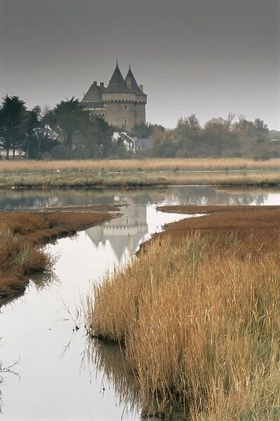 Castle and marshes of Suscinio, Morbihan, Brittany, France, Europe
