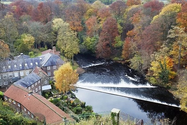 Castle Mills and the Weir on the River Nidd at Knaresborough, North Yorkshire, Yorkshire, England, United Kingdom, Europe
