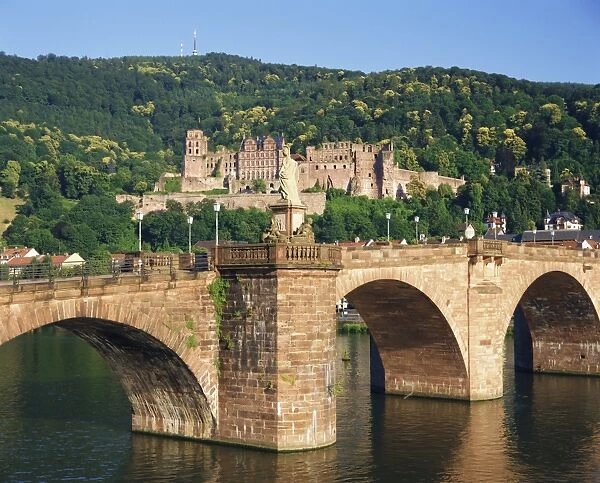 Castle, Neckar River and Alte bridge