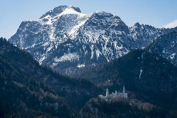 Castle Neuschwanstein, with the Alps behind, Schwangau, Bavaria, Germany, Europe