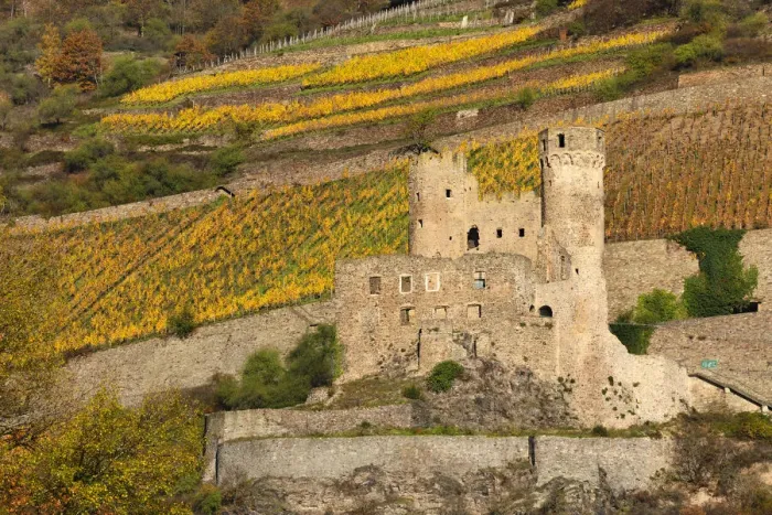 Framed Print : Castle ruin, Ehrenfels, Upper Middle Rhine Valley, Hesse, Germany, Europe