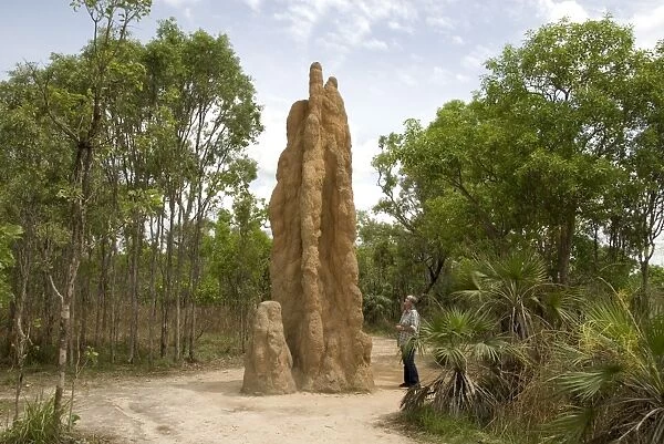 Castle termite hill, Litchfield National Park, Northern Territory, Australia, Pacific