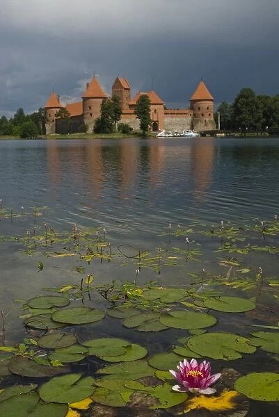 Castle Trakai, reflected in the water of a lake with a water lily, Trakai