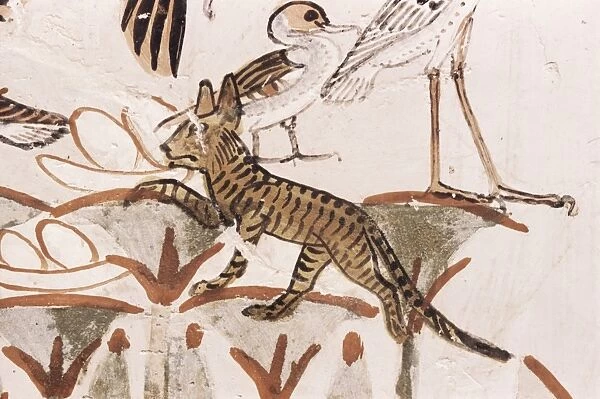 Cat climbing papyrus stem in duck hunting scene, Tomb of Menna, 18th dynasty