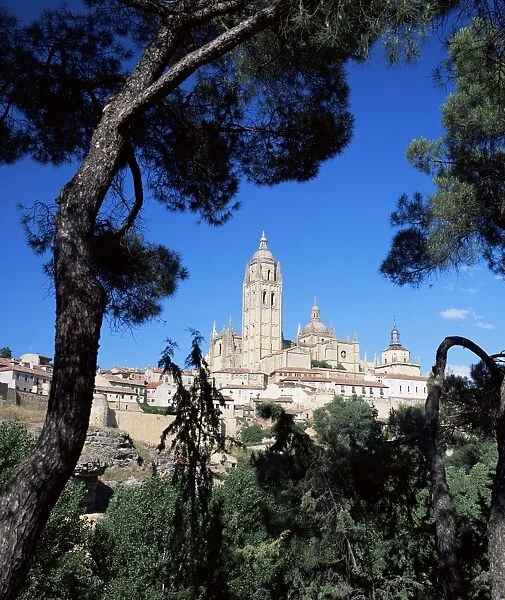 The cathedral framed by pine trees