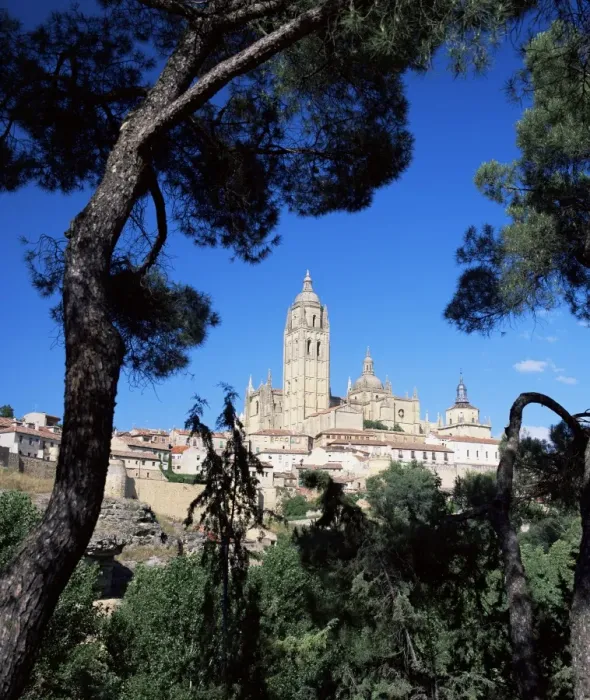 Framed Print : The cathedral framed by pine trees Framed Print : The cathedral framed by pine trees