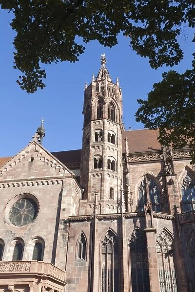Cathedral, Freiburg im Breisgau, Black Forest, Baden Wurttemberg, Germany, Europe