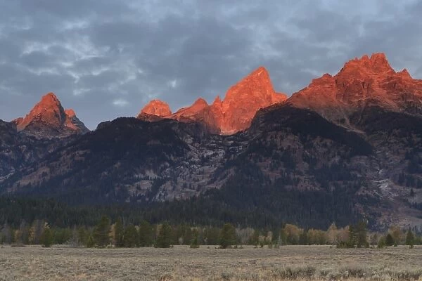 Cathedral Group of the Teton Range lit by intense dawn light in autumn (fall), Grand Teton National Park, Wyoming, United States of America, North America