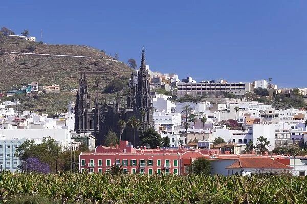 Cathedral Iglesia de San Juan de Bautista, Arucas, Gran Canaria, Canary Islands, Spain, Atlantic, Europe